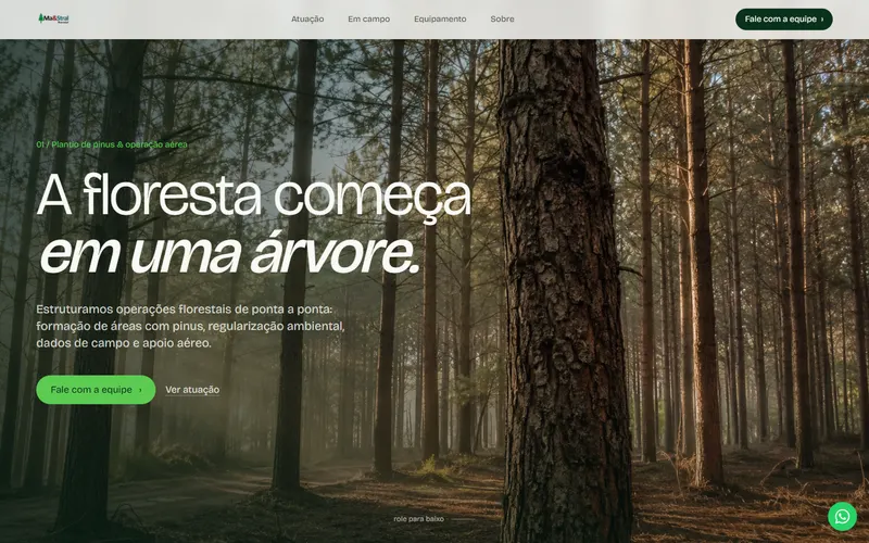 Site Ma&Stral Florestal com paisagem de reflorestamento