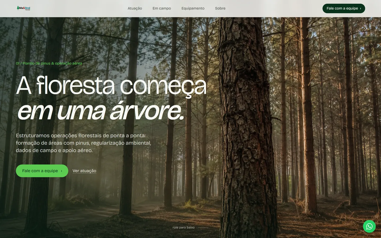 Página da Ma&Stral Florestal: a floresta começa em uma árvore