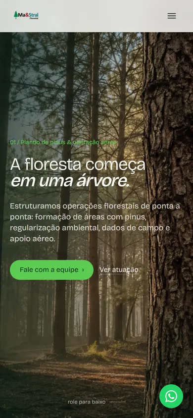 A mesma página da Ma&Stral no celular
